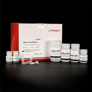 [Hot Item] Hipure Cell Mirna Kit with Mini Spin Column