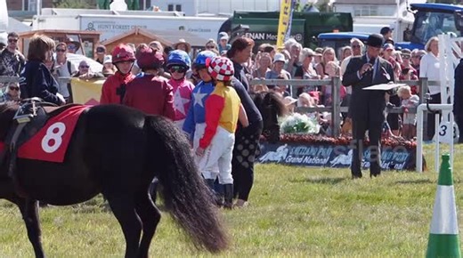 Shetland Pony Racing Grand National At Melplash Agricultrual Show Dorset UK