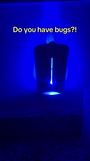 I need one of these insect traps for every room!! I cant stand bugs!! 🤦🏻‍♀️😱 grab you one today because this really works!! @DJROLL #djroll #flyinginsecttrap #insecttrap #pluginflyinginsecttrap #bugtrap #pluginbugtrap #stickytrap