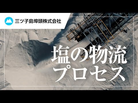 塩の物流（荷役プロセス）