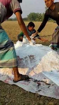 Mixing Fertilisers | EcoZira Agro