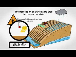 Climate : Nature-based solutions for climate change mitigation and adaptation in Paris Region