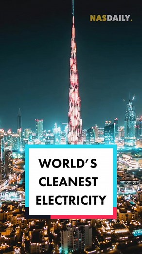 Top 10 Cleanest Animals in the World - Nuclear Energy Explained