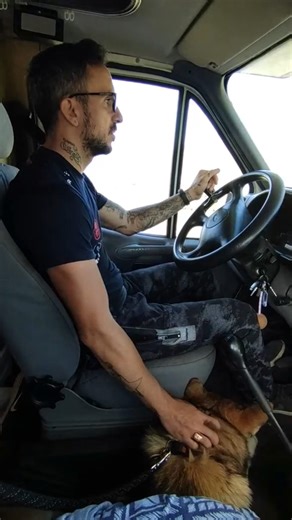 Roadtrip en camping-car avec mon chien loup 🐺🚐 #vanlife #chienloup