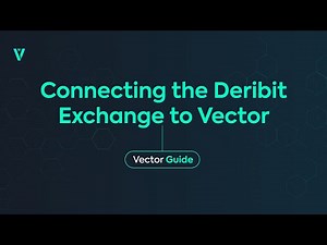 How to link your Deribit exchange account to the Vector platform | Vector Guide