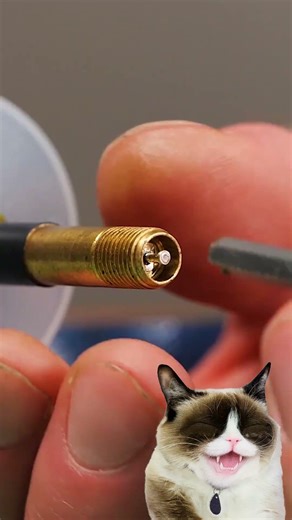 Device for safe fuel transfer⛽ Cat Reaction