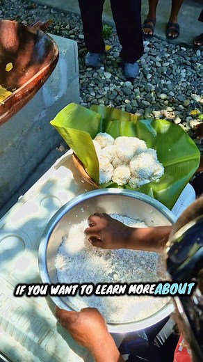 32K views · 758 reactions | Eat Local, Eat Healthy - Local Food Masterclass at the Amazing Grace #fypシ #masterclass #foryou #islandlife #foodrevolution #solomonislands | Jovi Lovi Totorea | Facebook