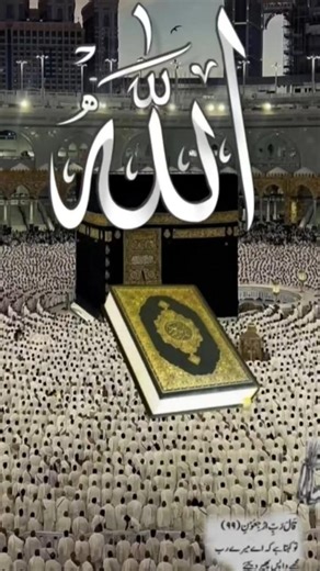 মুসলিম হলে কমেন্ট উত্তরটা দিয়ে যাবেন #ইসলামিক_ভিডিও #ইসলামিক_শর্ট_ভিডিও #IloveAllah#foryou