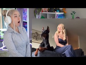 Funniest Internet Clips REACTION!!!