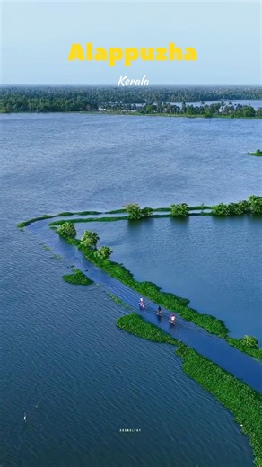 Alappuzha Kerala Backwaters 🌴 | God’s Own Paradise 😍 #Shorts #shortsfeed #shortvideo