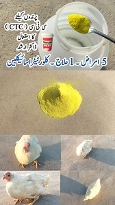 27K views · 846 reactions | CTC for Poultry Birds | Chlortetracycline...