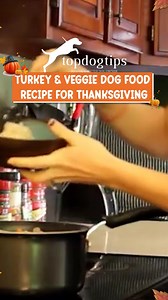 旅凌 A Thanksgiving feast made just for pups!  This turkey &...