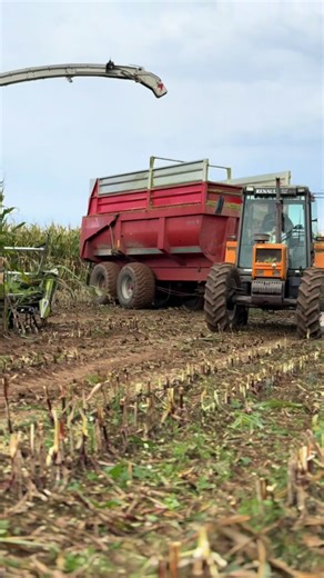 Ensilage 2k25 avec Renault 103/54 : Voyage Agricole