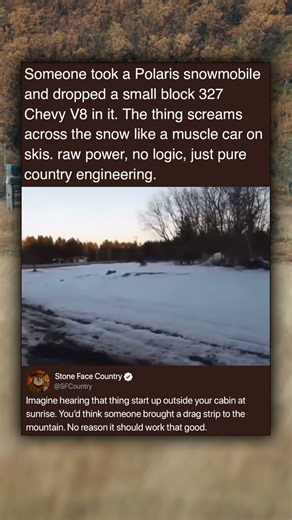 Someone took a Polaris snowmobile and dropped a small block 327 Chevy V8 in it. The thing