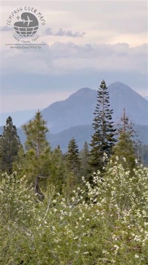 Breathtaking Mt. Shasta Views | California’s Hidden Gem | USA