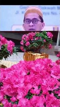 puasa Ramadhan pahalanya berlipat ganda #ustadzadihidayat