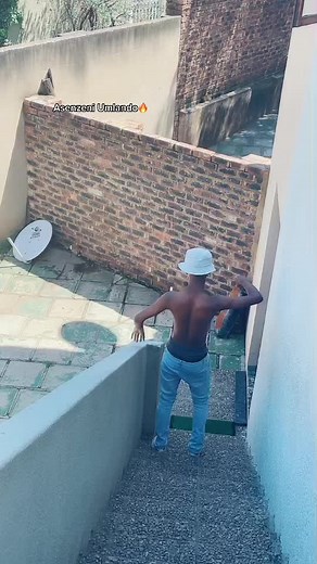 Lindo.August on TikTok