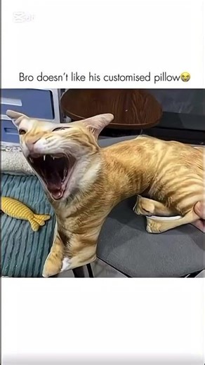 The face 😂 #memes #funny