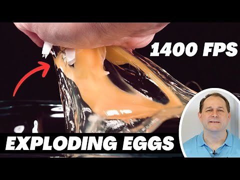 What Happens to 27 Eggs in a Vacuum Chamber?