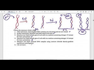 BIO1400-REPLICATION EXAM QUESTIONS