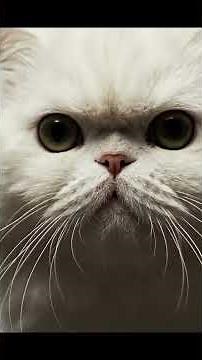 Emerald Eyes in the Silent Alley: A Cat's Unsettling Night Vision