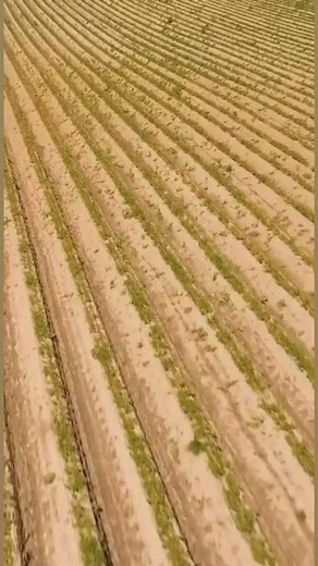 132K views · 723 reactions | Todd Janzen shares what he has found on solar leasing and farm land. #solarpanel #reels | U.S. Farm Report | Facebook