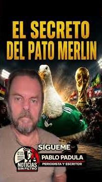 El pato Merlín tiene un secreto que nadie conoce y que tiene que ver con su dueño