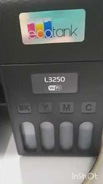 Impressora Epson configuração da impressora para mudar a opção entre duas impressoras.