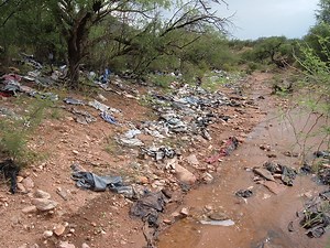 ‘RAPE TREES’ COMMON ALONG IMMIGRANT SMUGGLING ROUTE - AZ Border Defenders