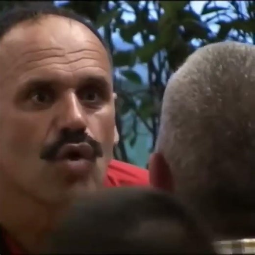 Zmaj vs Rajko pink panter