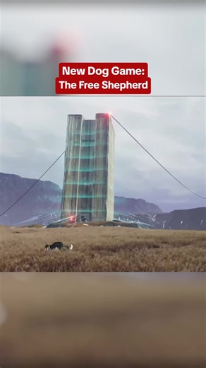 You play as a dog in The Free Shepherd! The game comes to PS5 and PC in 2027. #thegameawards #thefreeshepherd #dog #ps5 #pc #ign #gaming #trailer