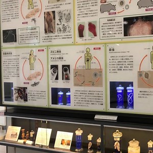 3.1K views · 56 reactions | parasite-only museum（Meguro,Tokyo） Tips for traveling to Japan are here! https://dive-japan.com | Dive Japan - 1minute Travel Guides | Facebook