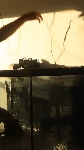 13K views · 350 reactions | Setting up a Fish Tank  | Paul Cuffaro | Facebook