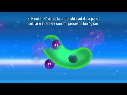 Fernox Biocide F7 200ml (ES)