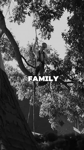 Blue Collar Life - Tree Service with OLI Outdoor Services #bluecollarworker