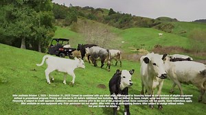 Kioti's UTVs give you more power for less! Apple Farm Service has Kioti's legendary UTVs that deliver the power and speed you want, with the dependabiltiy and versatility you need! Get low-rate financing on your next Kioti UTV, or get cash with an instant rebate! Hurry in, these deals end December 31st, 2025! ‍♀️ Don't wait, stop in today, or visit us online at AppleFarmService.com/Kioti! | Apple Farm Service Inc. | Facebook