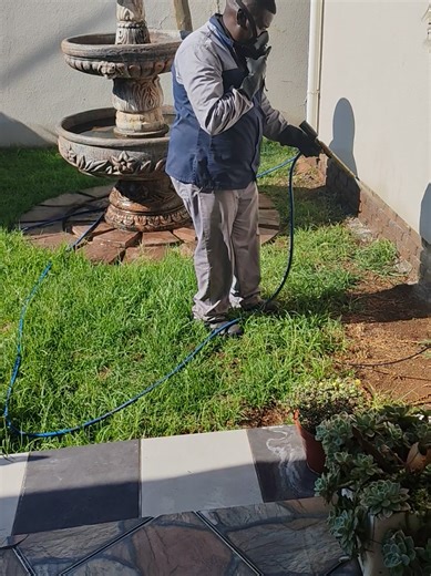 Professional Pest Control Services by Ditiro