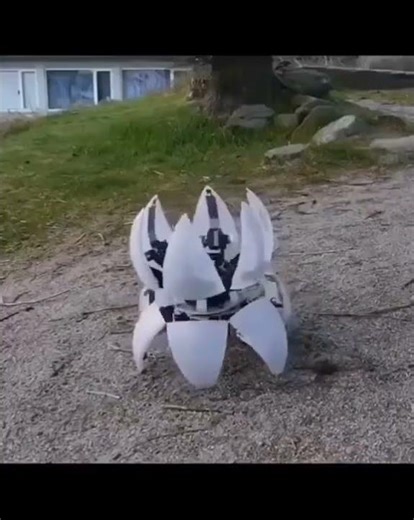 LotusBot isn’t just a robot - it’s moving art