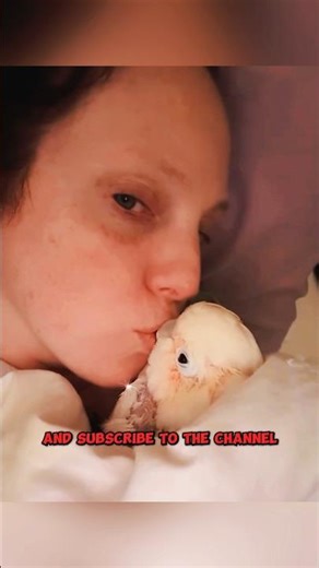 Baby Bird Falls… Her Next Move Will Melt You 🐦❤️