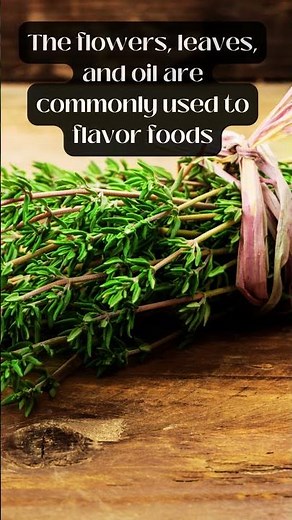 Thyme Benefits #Thyme #Herbs #shorts