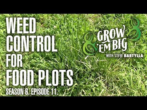 Weed Control for Food Plots