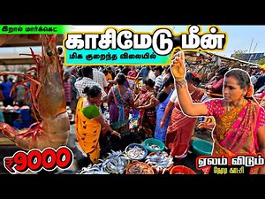 Kasimedu Elam 🔥 Live Mass Auction | Fresh Fish Price Shocking! 😱 | Shiro Vlog🫰🏻