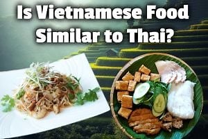 Is Vietnamese Food Similar to Thai? (Yes, with 1 huge difference)