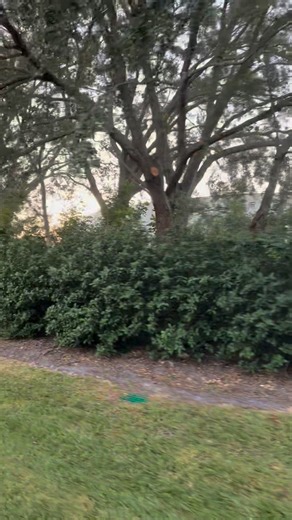 Train ride | Magicparkmemories