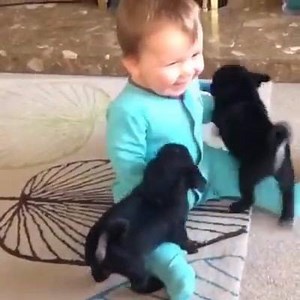 3.7K views · 148 reactions | So cute :  | Animals Earth | Facebook