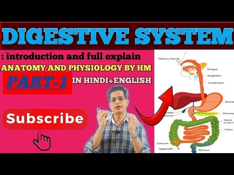 Digestive system | Stage of food processing🤔 | introduction | An overview |anatomy and physiology