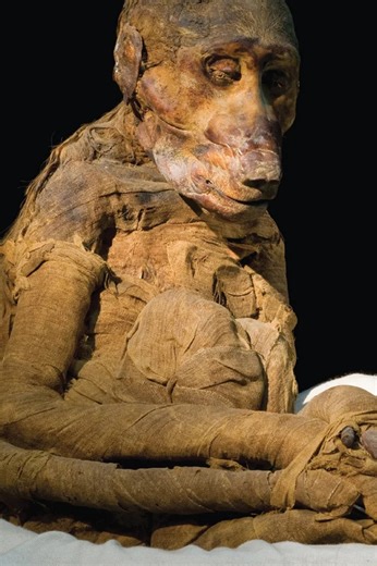 7.3K views · 83 reactions | The Mysterious Function of Ancient Egyptian Sarcophagi Revealed | Life's Biggest Questions | Facebook