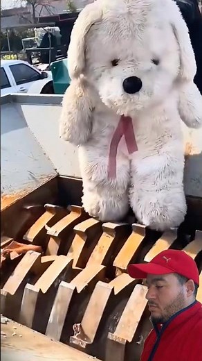 Don’t Blink! Teddy Bear vs Industrial Shredder 😱