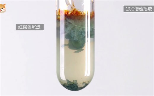 【化学必修1示范实验】氢氧化铁和氢氧化亚铁的生成 人教版统编教材高中化学2019新课改新课标高考理综