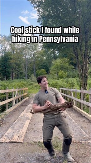 Just a simple throwback to a cool stick video I found in 2024 #stick #outdoors #hiking #pennsylvania